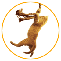 Save the Cat! circle logo