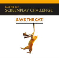 Save the Cat! Challenge