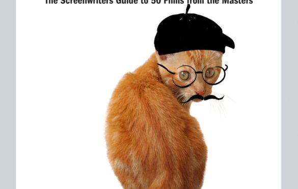 save the cat writes a novel