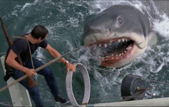 Roy Scheider and the shark in Jaws