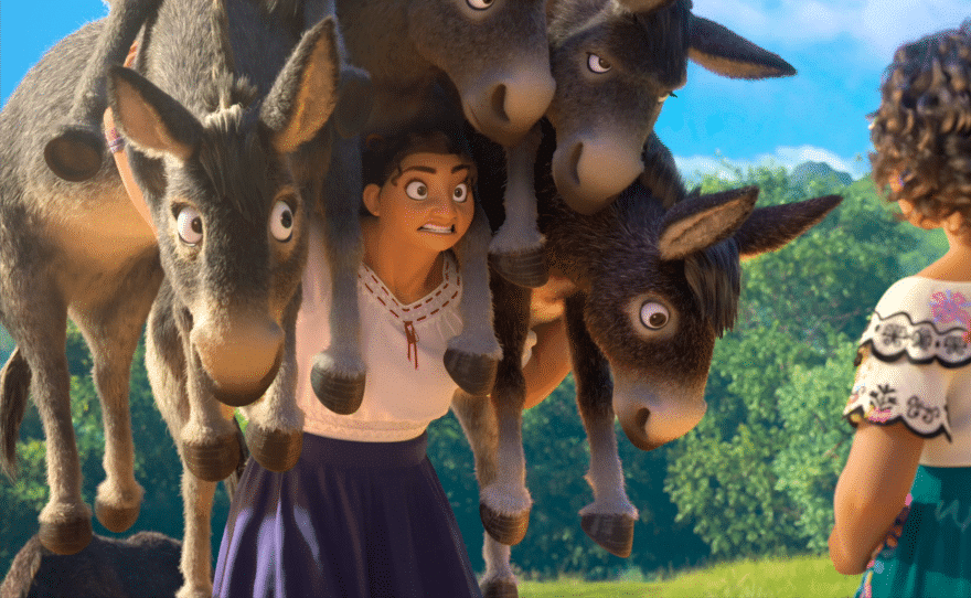 Mirabel and the donkeys