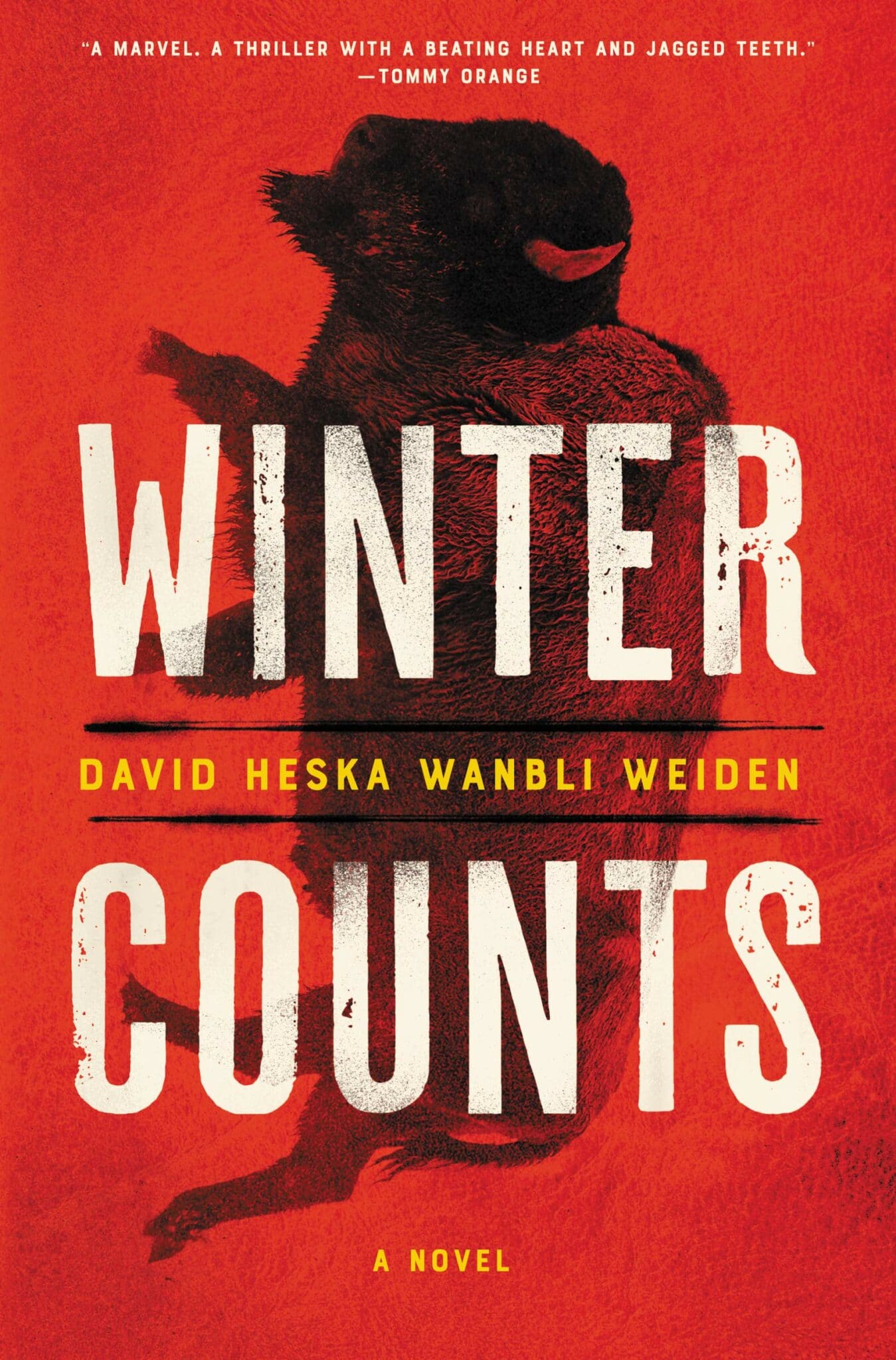 the front cover of the novel Winter Counts