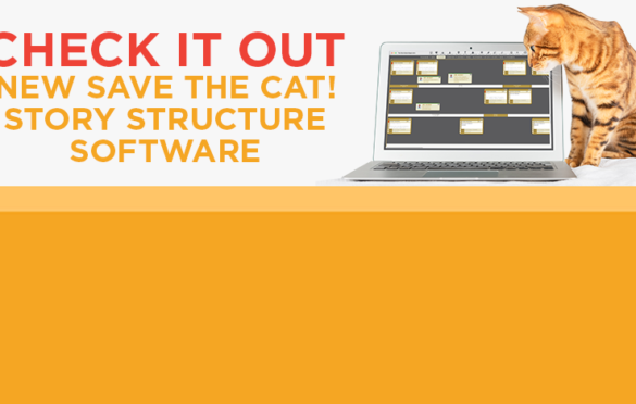 Cat looking over laptop with Save the Cat software on screen