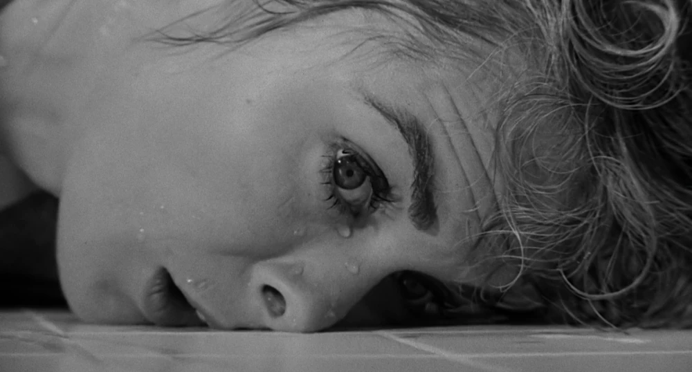 Janet Leigh on the shower floor in Hitchcock's Psycho