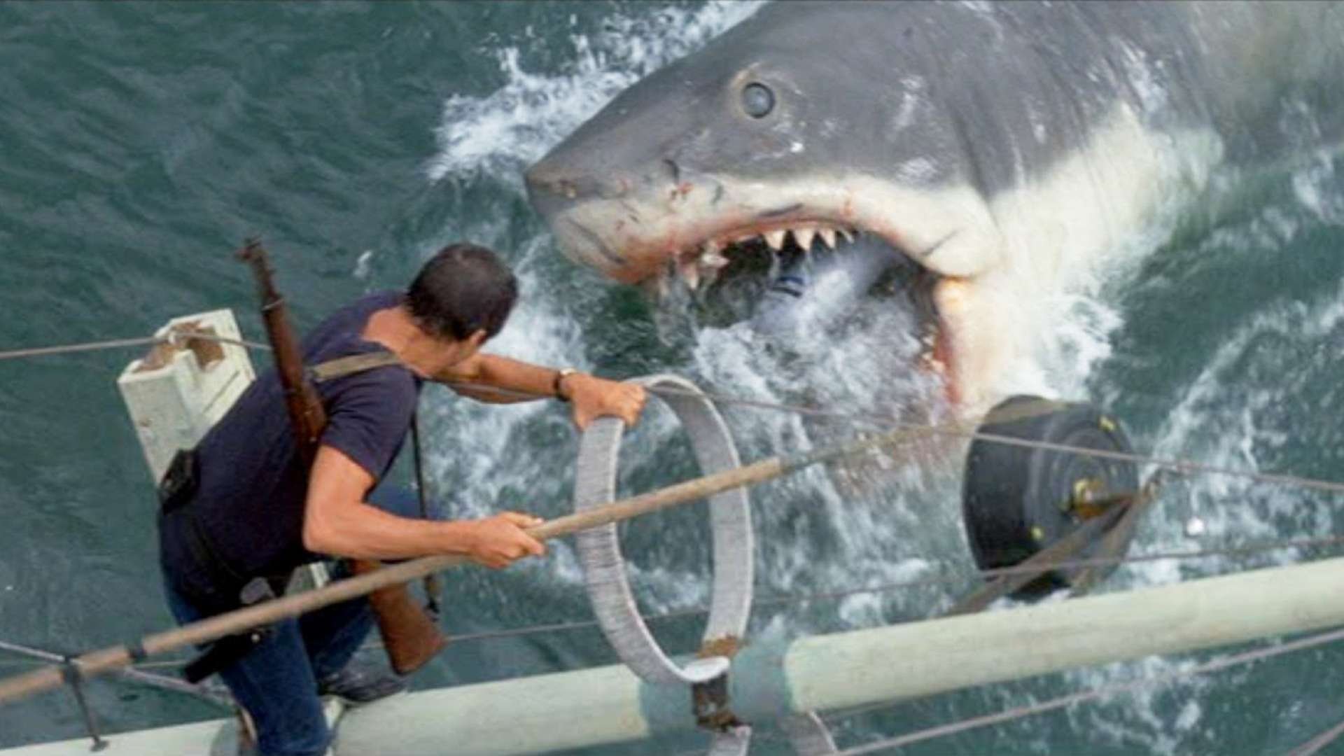 Roy Scheider fights the gigantic shark in Jaws