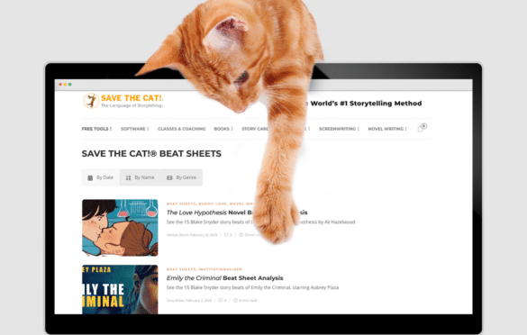cat with paw over laptop screen