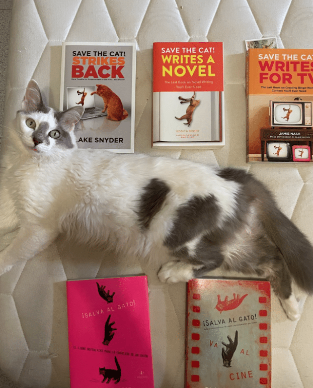 Tika the cat lying on a bed with 5 Save the Cat! books