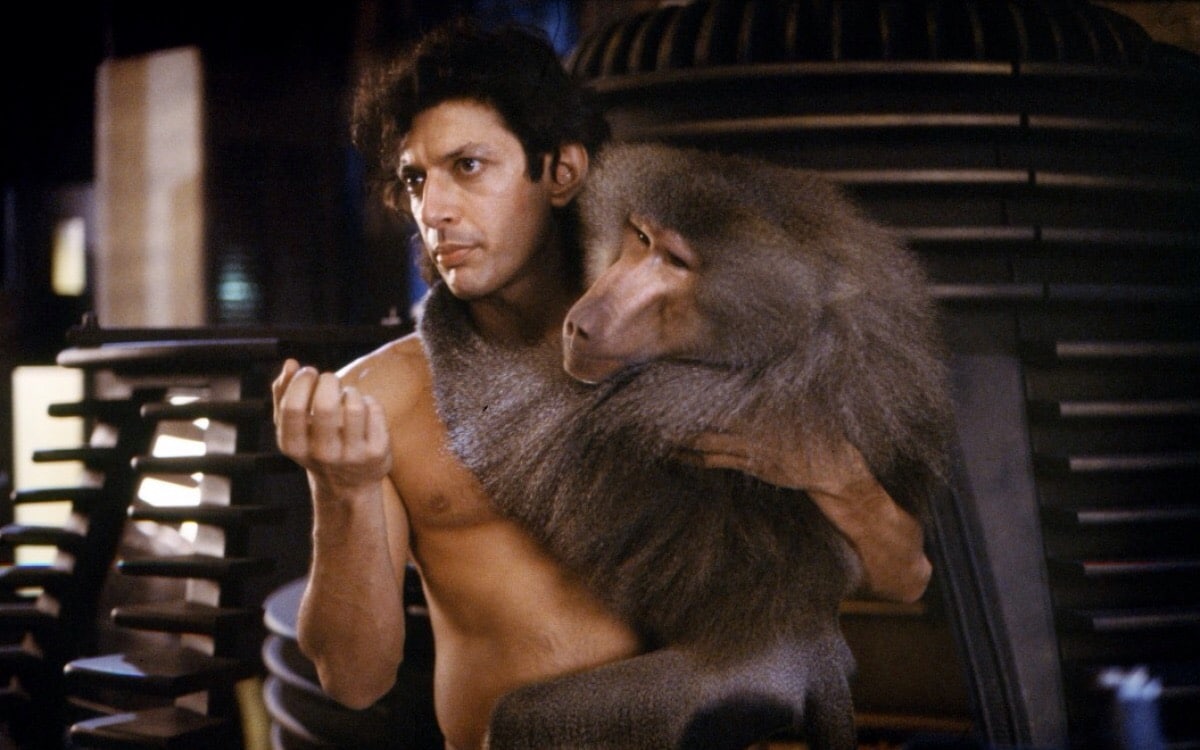 Jeff Goldblum holds a monkey in The Fly