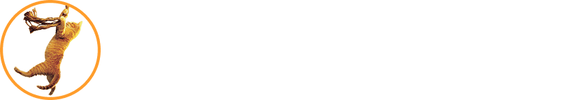 Save the Cat light logo