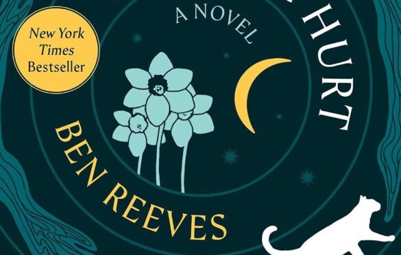 the bottom of the front cover of Everything Was Beautiful and Nothing Hurt by Ben Reeves